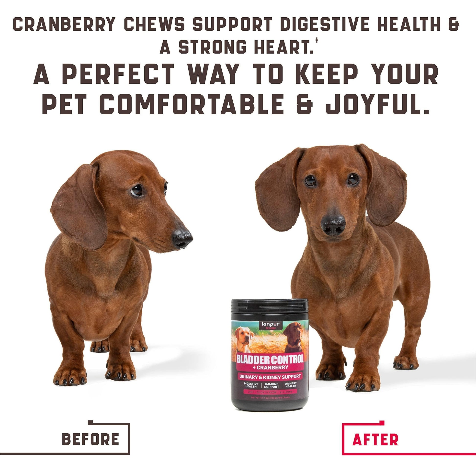 180 Pcs Cranberry Chews Dog Cranberry Supplement Natural Aid for Urinary Tract