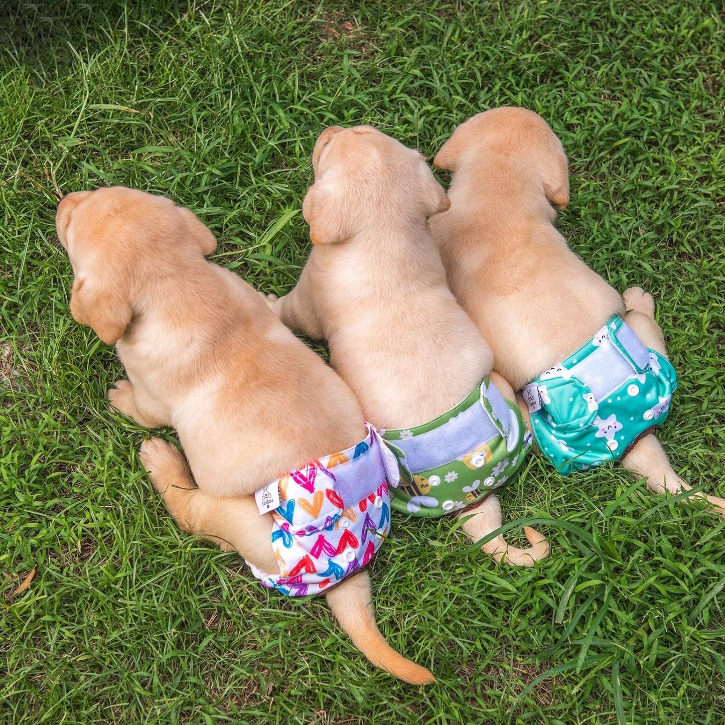 Dog Diapers Female Washable Small Medium Large 3 Pack Reusable Doggie Diapers Puppy Period Pants for Doggy Heat Cycle Peeing D29XS