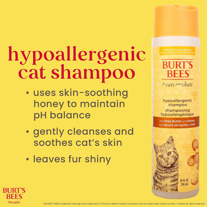 Hypoallergenic Shampoo for Cats with Shea Butter and Honey, 2Pk, 99.7% Natural Origin Formulas, Pet Shampoo for Cats, Gentle Cat Shampoo, Cat Shampoo for Itchy Skin, 2Pk, 10 Oz