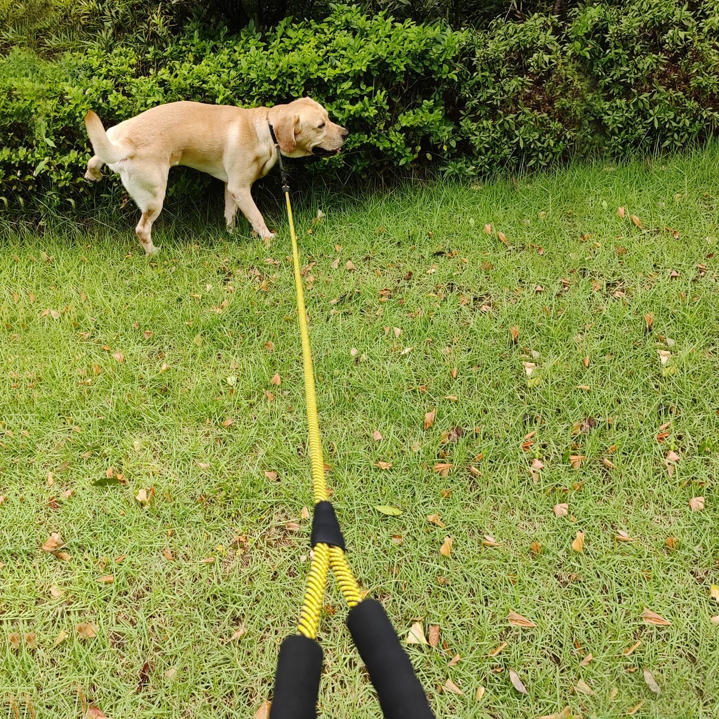 Heavy Duty Rope Dog Leash, 3/4/5/6/7/8/10/12/15 FT Nylon Pet Leash, Soft Padded Handle Thick Lead Leashes for Large Medium Dogs Small Puppy