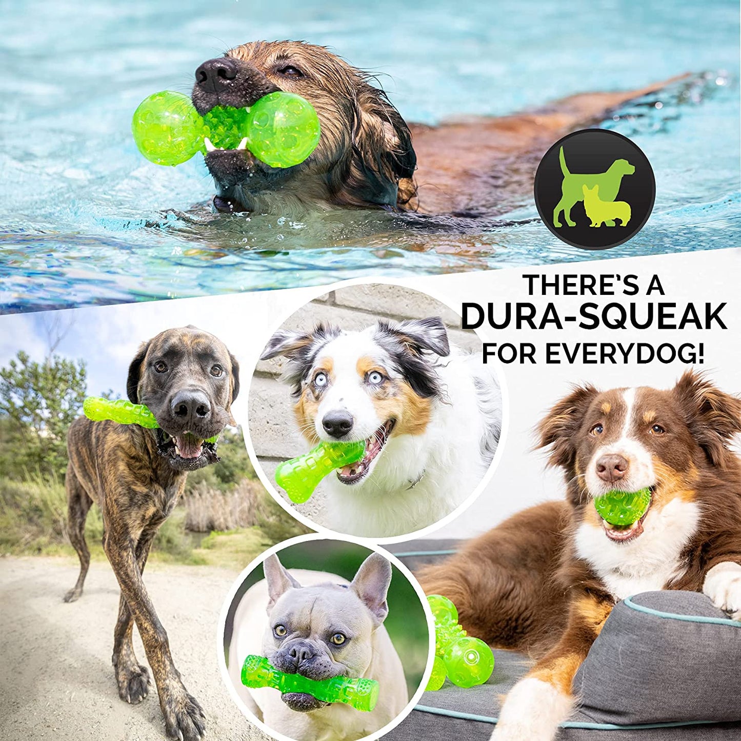 Durasqueak Dog Ball Toy, Interactive Dog Toys That Float and Squeaks for Playing, Fetching and Retrieving-Great Alternative to Traditional Tennis Balls Green 2.5 Inch