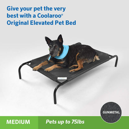 the Original Cooling Elevated Dog Bed, Indoor and Outdoor, Medium, Gunmetal